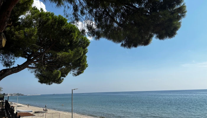 PHOTO-2025-09-09-18-17-22 4.jpg