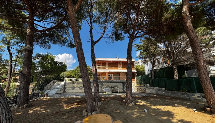 PHOTO-2025-09-09-18-17-22 5.jpg