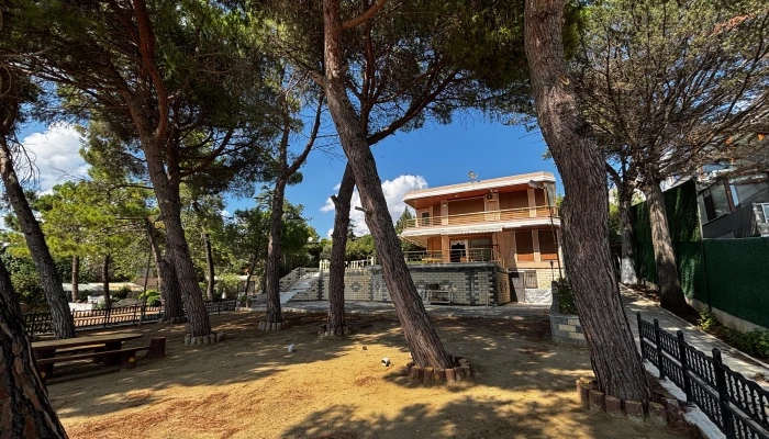 PHOTO-2025-09-09-18-17-22 6.jpg