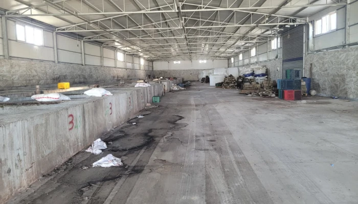 WhatsApp Image 2025-09-22 at 11.32.01 (1).jpg