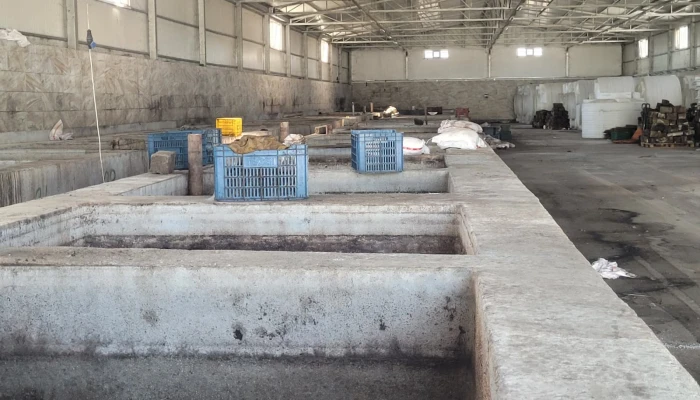 WhatsApp Image 2025-09-22 at 11.32.00 (4).jpg