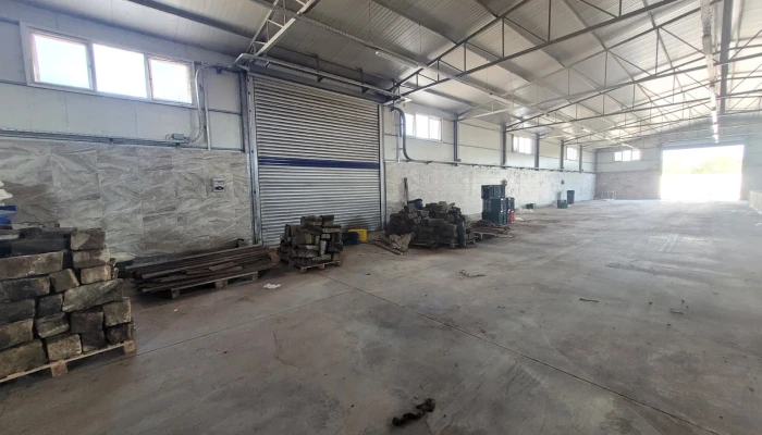 WhatsApp Image 2025-09-22 at 11.31.59.jpg