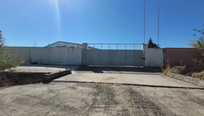 WhatsApp Image 2025-09-22 at 11.31.05.jpg