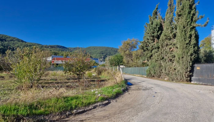 WhatsApp Image 2025-10-13 at 07.38.25 (1).jpg