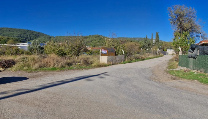 WhatsApp Image 2025-10-13 at 07.38.25.jpg