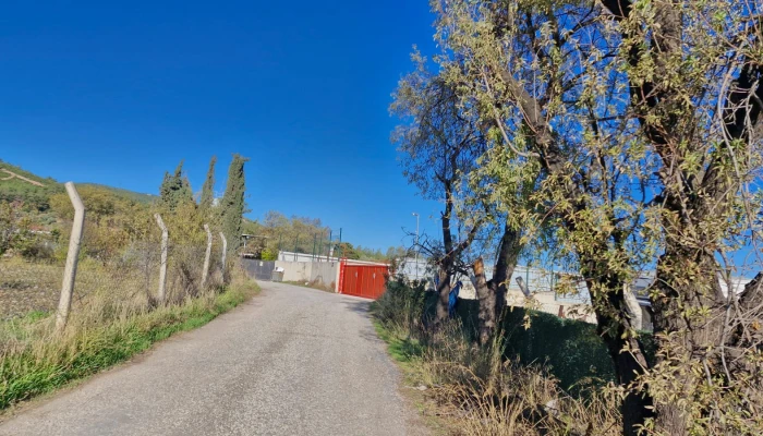 WhatsApp Image 2025-10-13 at 07.38.26 (1).jpg