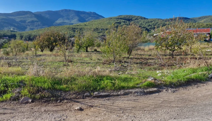 WhatsApp Image 2025-10-13 at 07.38.26 (2).jpg