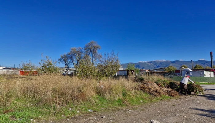 WhatsApp Image 2025-10-13 at 07.38.26.jpg