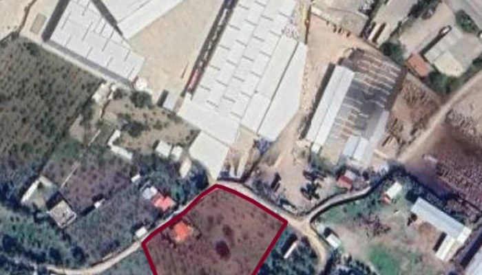 WhatsApp Image 2025-10-13 at 07.38.27.jpg