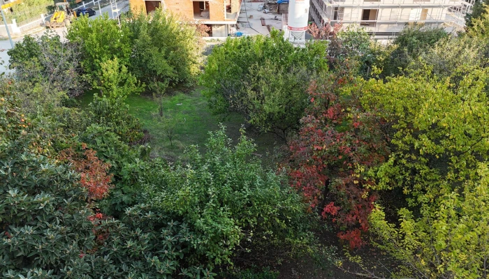 PHOTO-2025-10-18-16-34-44 3.jpg