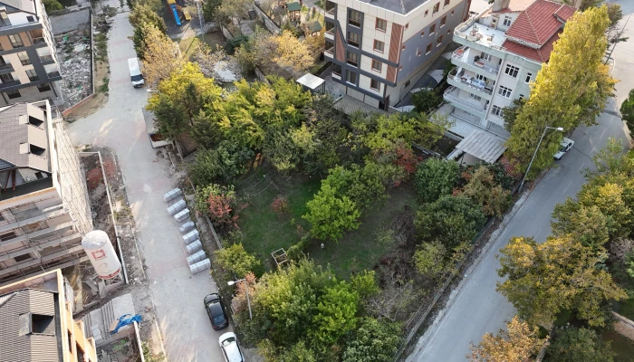 PHOTO-2025-10-18-16-34-46 2.jpg