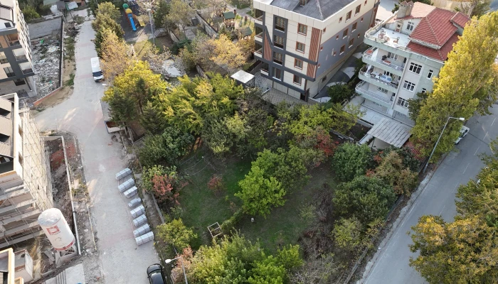 PHOTO-2025-10-18-16-34-46 4.jpg