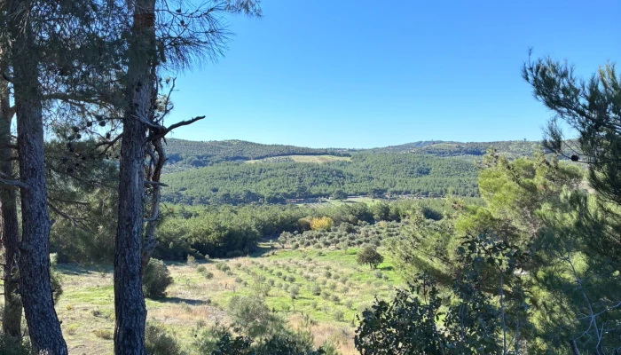 WhatsApp Image 2025-11-04 at 13.25.11 (1).jpg