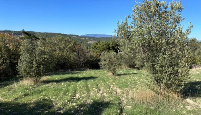 WhatsApp Image 2025-11-04 at 13.25.12 (1).jpg