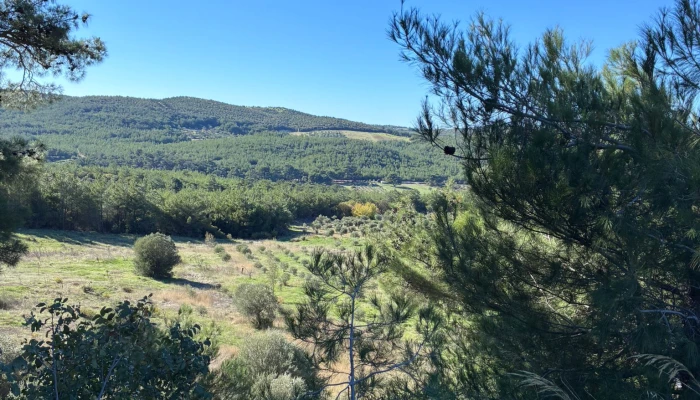 WhatsApp Image 2025-11-04 at 13.25.12.jpg