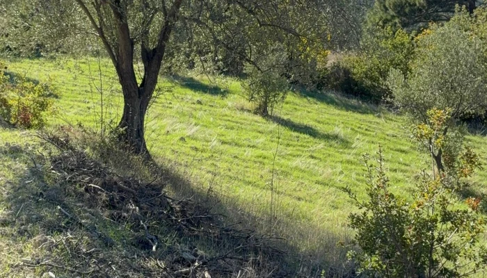 WhatsApp Image 2025-11-04 at 13.25.30 (1).jpg