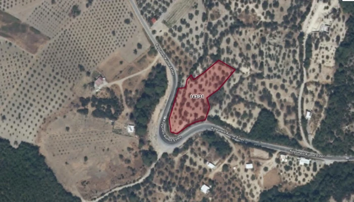 WhatsApp Image 2025-11-04 at 13.30.58.jpg