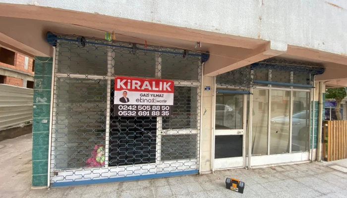 WhatsApp Image 2025-11-07 at 15.50.55.jpg