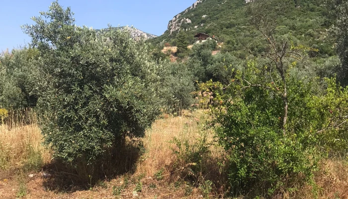 WhatsApp Image 2025-11-07 at 15.58.21 (1).jpg