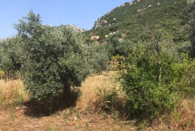 DÖŞEMEALTI CAMİLİ'DE 670M2 FIRSAT TARLA ! KAÇMAZZZ