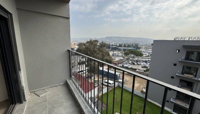 Gemini_Generated_Image_ji5d7oji5d7oji5d (1).png