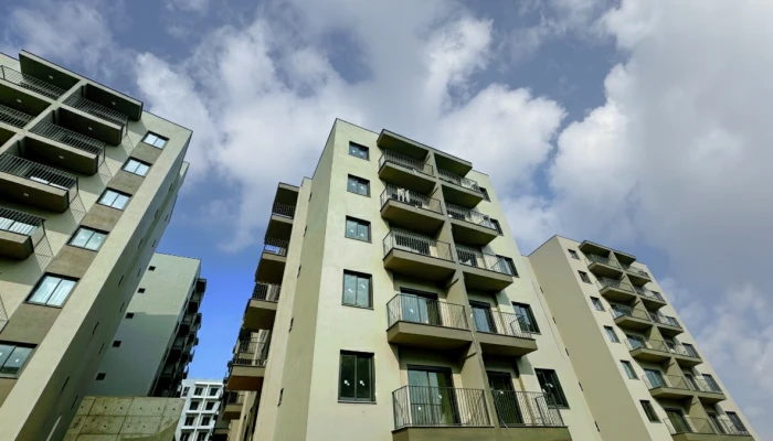 Gemini_Generated_Image_ji5d7oji5d7oji5d (5).png