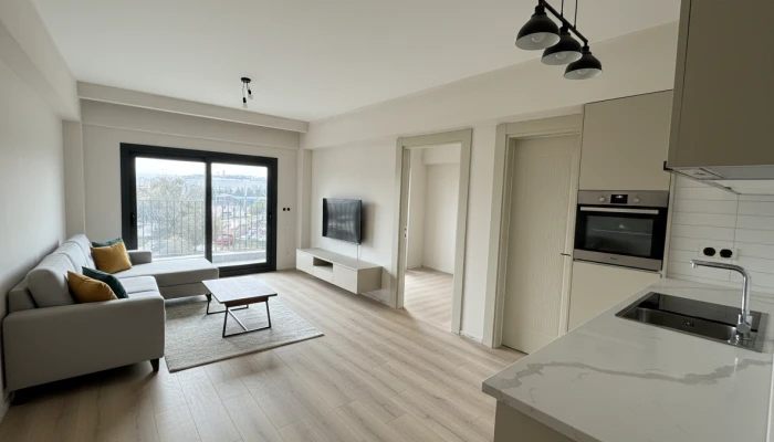 Gemini_Generated_Image_ji5d7oji5d7oji5d (6).png