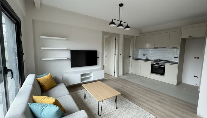 Gemini_Generated_Image_ji5d7oji5d7oji5d (8).png