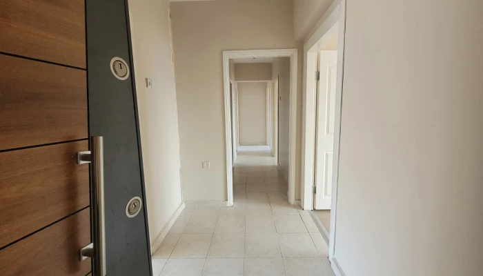 WhatsApp Image 2025-11-10 at 12.12.08.jpg