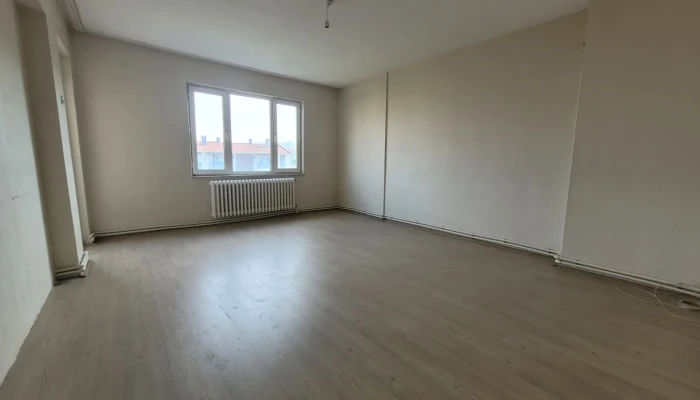 WhatsApp Image 2025-11-10 at 12.12.01.jpg