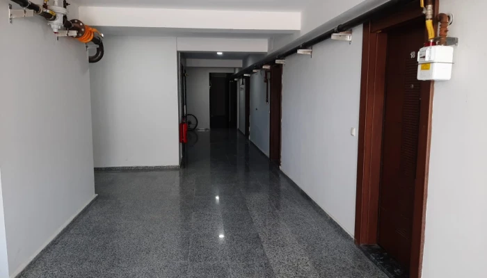 WhatsApp Image 2025-11-03 at 14.14.44.jpg