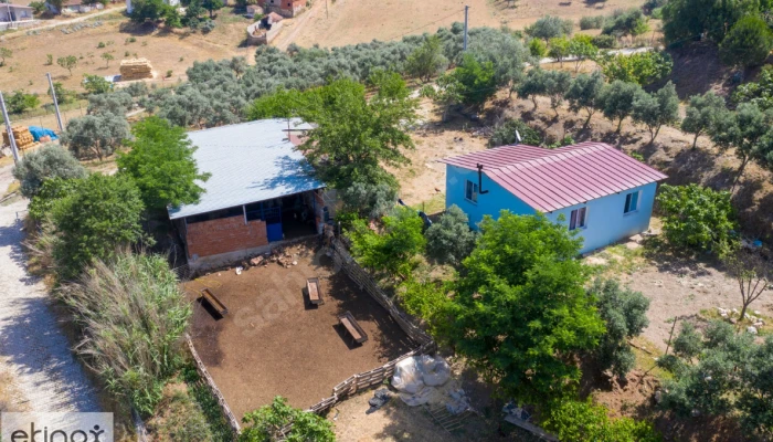 Ekran görüntüsü 2025-12-01 161230.png