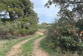 İzmir Çiftlikköy'de verimli tarla