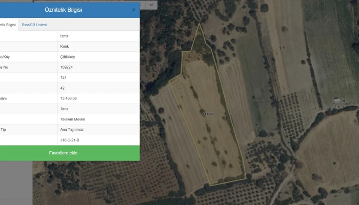 124-42 parsel sorgu.jpg
