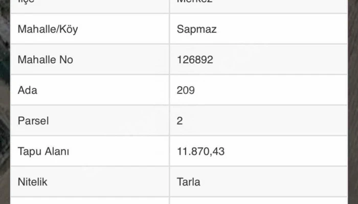 WhatsApp Image 2025-12-05 at 14.28.42 (3).jpg