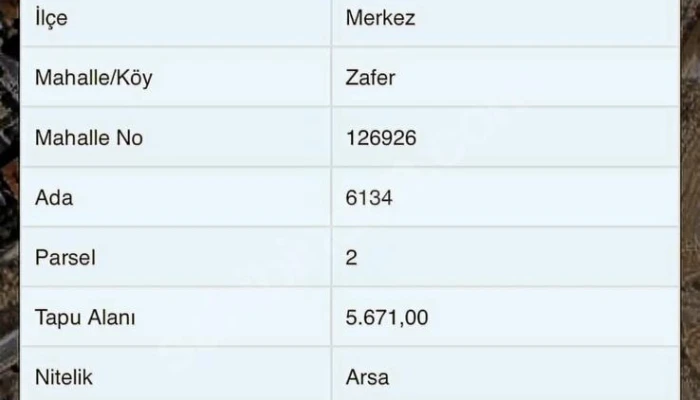 WhatsApp Image 2025-12-05 at 14.55.38 (1).jpg