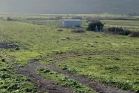 FOCA YENIBAGARASI CELEBICIFTLIGI MEVKII SATILIK HISSELI TARLA