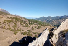 Konyaaltı Yarbaşçandır'da Geniş Araziler