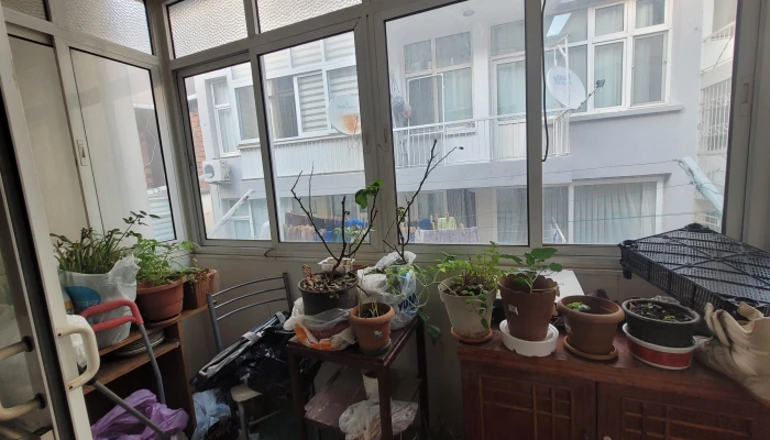 WhatsApp Image 2026-01-02 at 11.50.23 (1).jpg