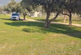 Kemalpaşa Sütçüler'de 4881 m2 Tek Tapu Satılık Bağ