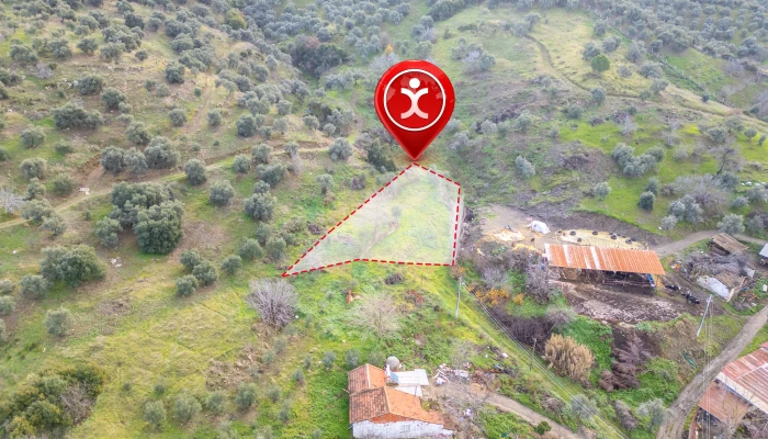 Binnur Uluğkau Tire İşaretli (1).jpg