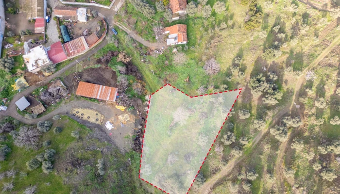 Binnur Uluğkau Tire İşaretli (8).jpg