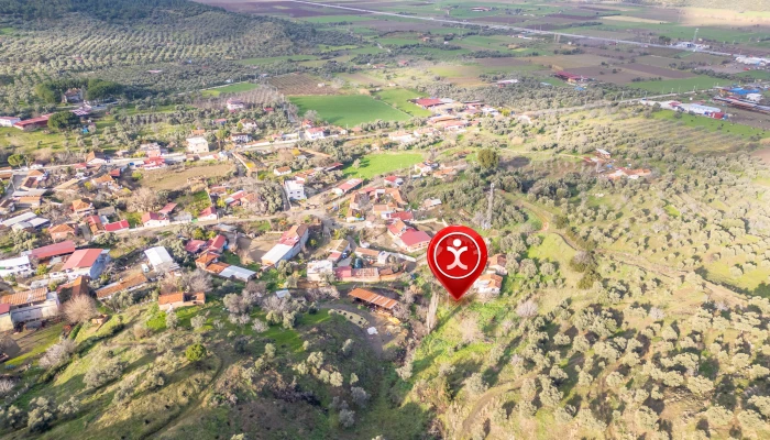 Binnur Uluğkau Tire İşaretli (6).jpg