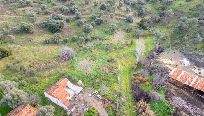 Binnur Uluğkau Tire (1).jpg