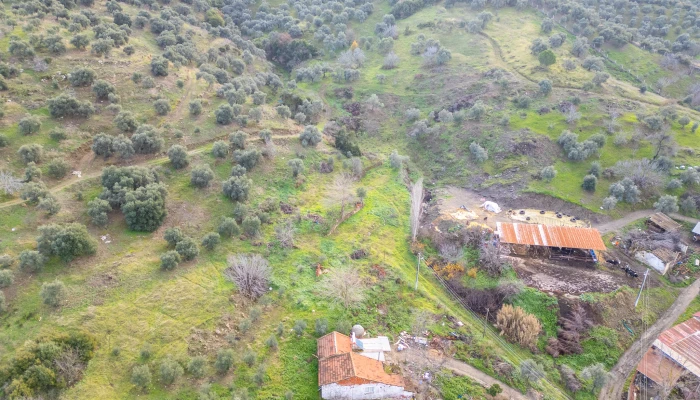 Binnur Uluğkau Tire (2).jpg