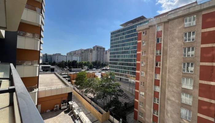 PHOTO-2025-06-30-16-33-40 2.jpg