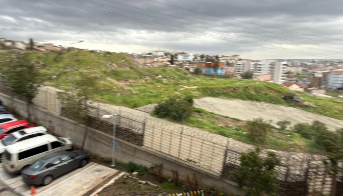 WhatsApp Image 2026-02-06 at 11.50.00 (18).jpg