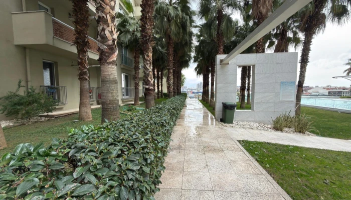 WhatsApp Image 2026-02-06 at 11.50.00 (31).jpg