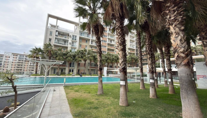 WhatsApp Image 2026-02-06 at 11.50.00 (32).jpg