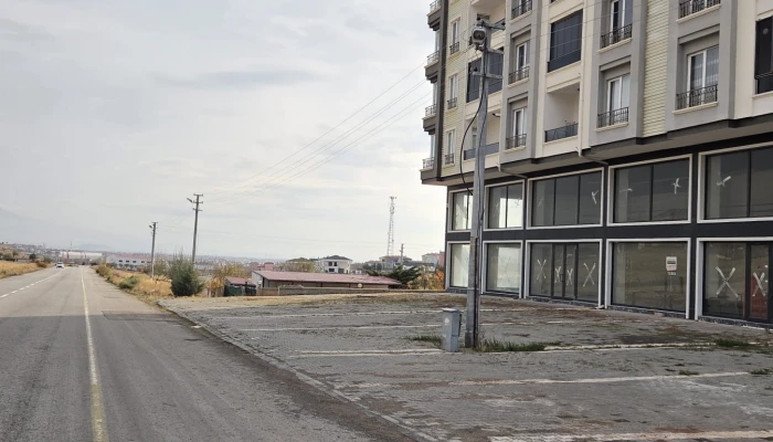 WhatsApp Image 2026-02-04 at 14.02.30.jpg